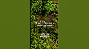 تلاوة تفوق الوصف بصوت يريح القلب #تلاوة #elmulquranعلم #اكسبلور #المصحف #قران_كريم #trend #duet