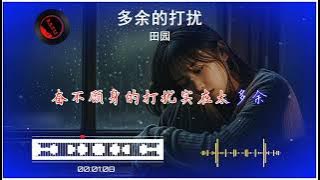 2025華語網絡流行 ||《多餘的打擾》|| 田園 || 動態歌詞