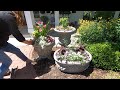 Feeling a Little Behind Planting My Home Containers! 🌿 // Garden Answer