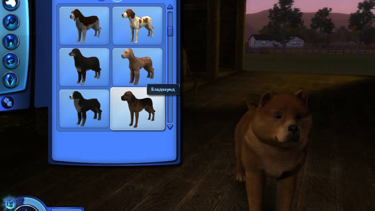 игры собака создать. Ultimate симулятор собаки. игра создай свою собаку 3д. Sims 2 питомцы на компьютер. игры собака создать.