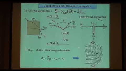 Crack propagation modeling for liquid metal embrittlement at the microstructure level