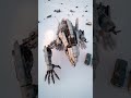 Airplane Transforms Into Lizard Robot 😱 AI Mecha Transformation