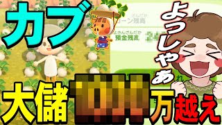 【あつ森】1年半ぶりのカブでいきなり大当たりを引いてしまう実況者がいるらしい【あつまれ どうぶつの森】【ぽんすけ】