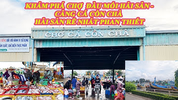 Khám phá cảng cá Cồn Chà. Mua hải sản rẽ nhất Phan Thiết. @giathanhfamily