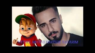 Veysel Mutlu Hapis De Yatarım Alvi̇n Ve Si̇ncaplar Resimi