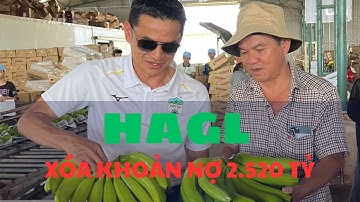 Bầu Đức muốn hoán đổi khoản nợ 2.520 tỷ đồng, con trai liên tiếp gom cổ phiếu