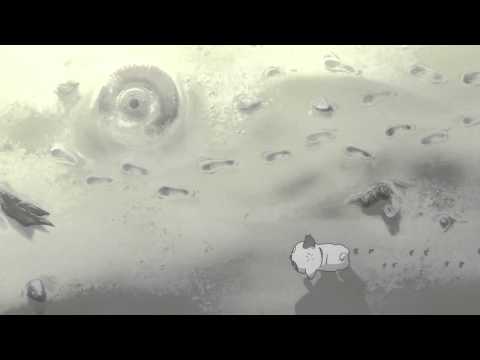 ED1 «Sora no Kakera» — Аяко Икэда