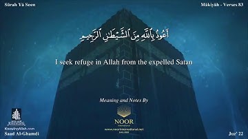 سعد الغامدي | حالات واتس اب دينية سورة يس 🥰🦋