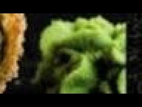 POV:Eating Wasabi at 3 AM in the morning:#stopnobaracat