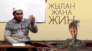 КАНДАЙ ЖЫЛАНДЫ ӨЛТҮРСӨ БОЛОТ / ЖЫЛАН МЕНЕН ЖИНДЕРДИН БАЙЛАНЫШЫ. АБДУКАХАР ДАМЛА