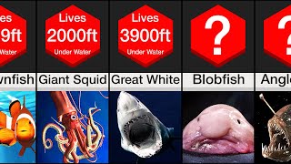 Comparison: Deepest Living Sea Creatures