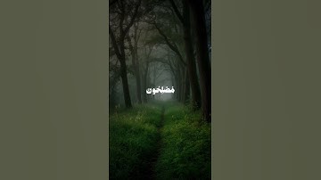 سورة البقره | الآية 11-12.