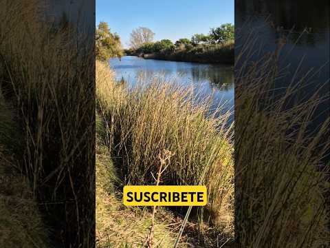 Pescando en un
