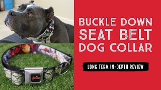 seat belt buckle collar