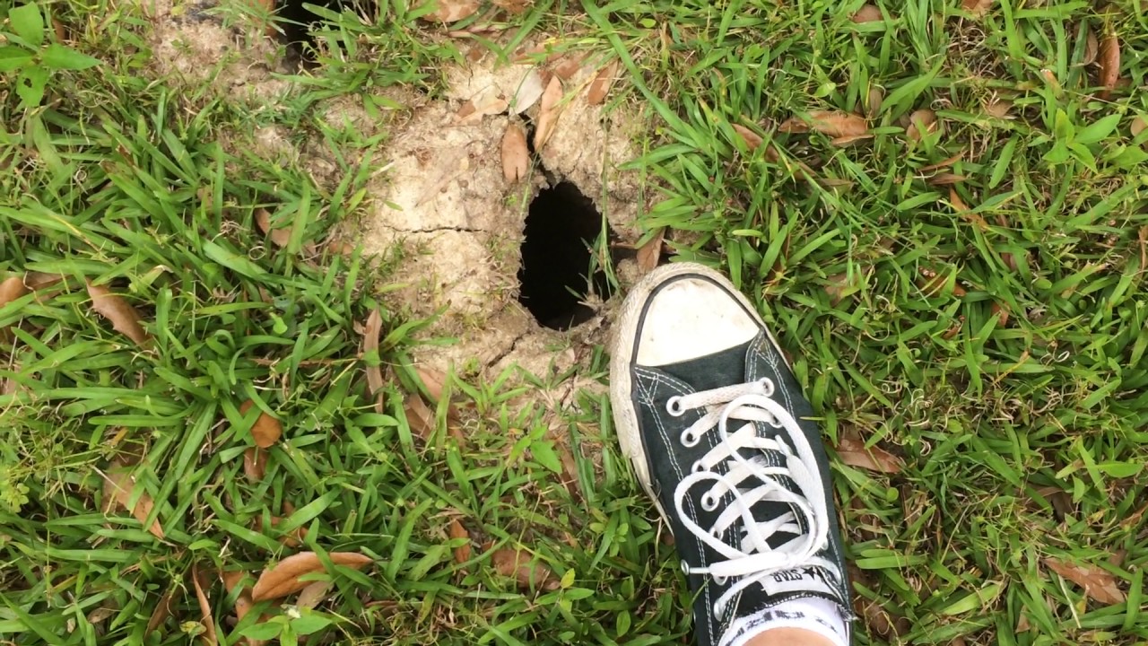 What Is Making These Holes In My Yard? - YouTube