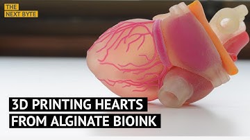 A Breakthrough in 3D Printing Organs – Printing Hearts from Alginate Bioink