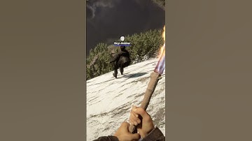 We found glitch in Sons Of The Forest...