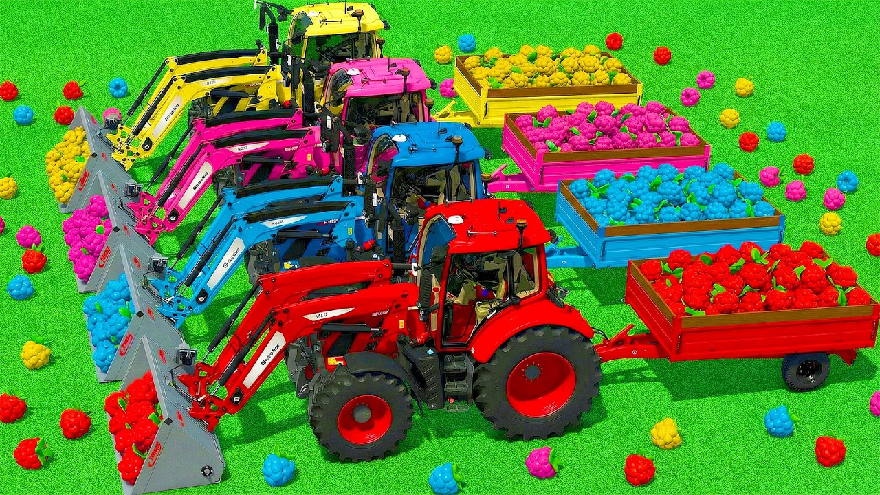 LOAD AND TRANSPORT COLOR RASPBERRIES WITH FENDT TRACTORS & HARVEST SUNFLOWER – Farming Simulator 25