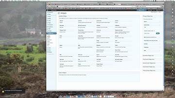Wordpress Sidebar and Widgets