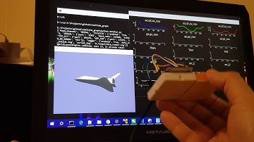 A real-time 3D movement and graph monitor