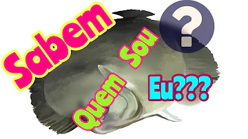 Qual é a cor do peixe linguado?