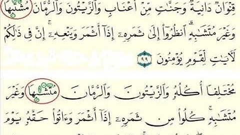 الفرق بين (مُشْتَبِهاً) و(مُتَشَابِهٍ) في سورة "الأَنْعَام"