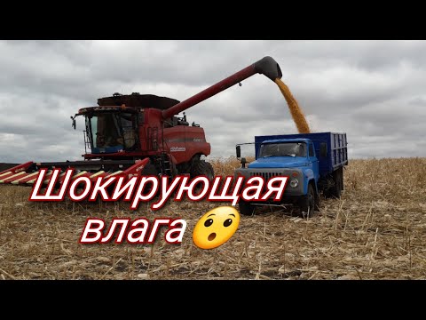 Video: Монсанто сояны кантип көзөмөлдөйт?