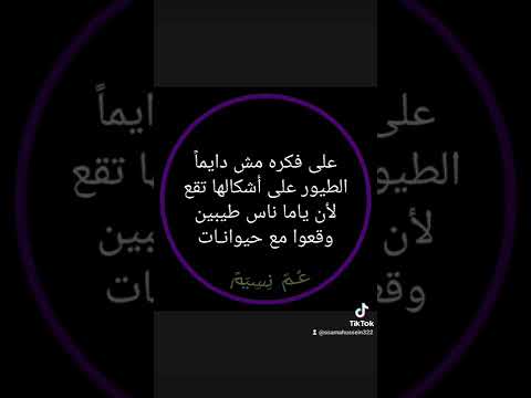 بهاء سلطان تعبنا طب ونتعب ليه