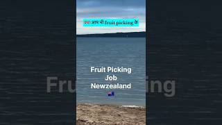 🇳🇿 New Zealand & 🇦🇺 Australia Work Visa 2026 | Jobs Available | Apply Now