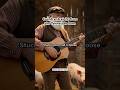 Country straight from the Tennessee barn #country #countrymusic #oldcountrymusic #southernmusic