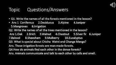 Class 4 english Lec 13