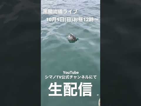 黒鯛流儀ライブ開催決定！