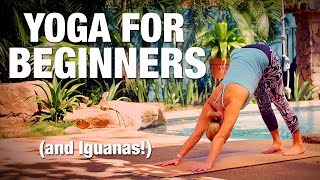 Yoga for Beginners Yoga Class - Five Parks Yoga (Bonus Iguana Visit!)