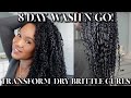 Winter wash n go routine 2024  8 day wash n go transform dry brittle curls