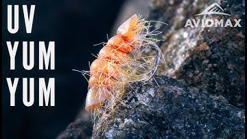 How to tie the UV Yum Yum | AvidMax Fly Tying Tuesday Tutorials