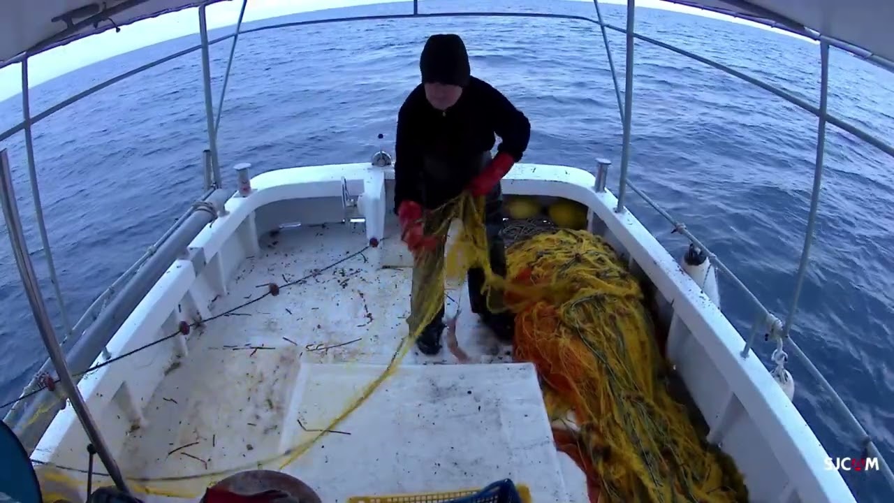 ψάρεμα σε μέτριο βάθος! mid-depth fishing! fishing nets