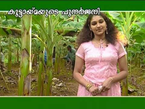 VITHUM KAYIKOOTTUM agriculture programe 02