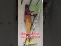 बुरा वक्त रुलाता जरूर है पर बहुत कुछसीखना भी है 💯#shortsfeed  #suvichar #lifelessons #viral
