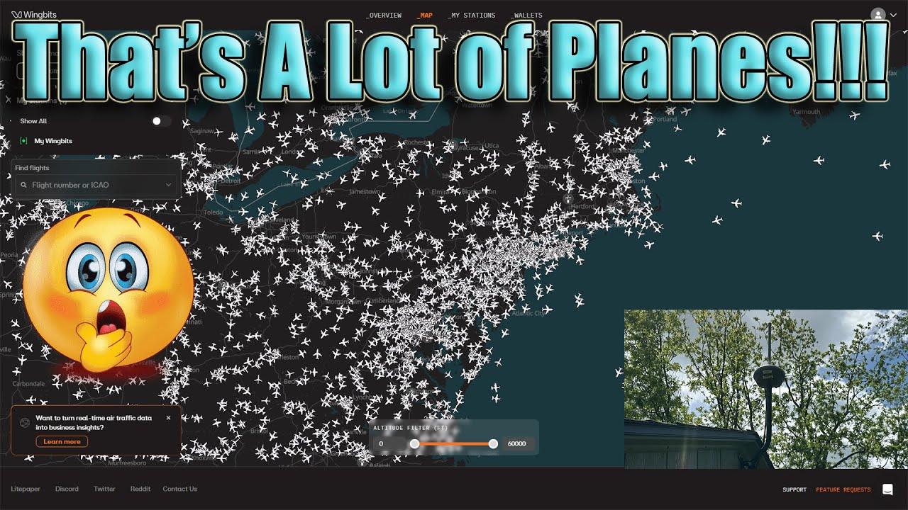 Wingbits Results After a Week - How Did I Do???