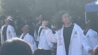 Alpha Kappa Alpha Step show at Spelman College on the campus yard Friday February 13, 2026 