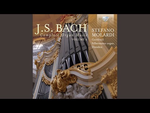 Watch 18 Chorale Preludes, BWV 651 - 668: I. Fantasia super. Komm, Heiliger Geist, BWV 651 on YouTube