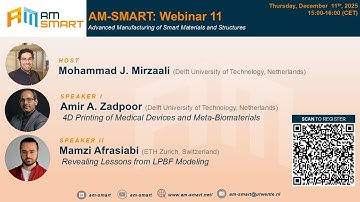 AM-SMART webinar 11