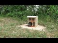 筋肉ハウスみたいな家で草