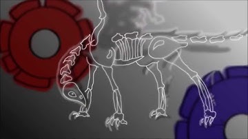 radioactive MAP part 19