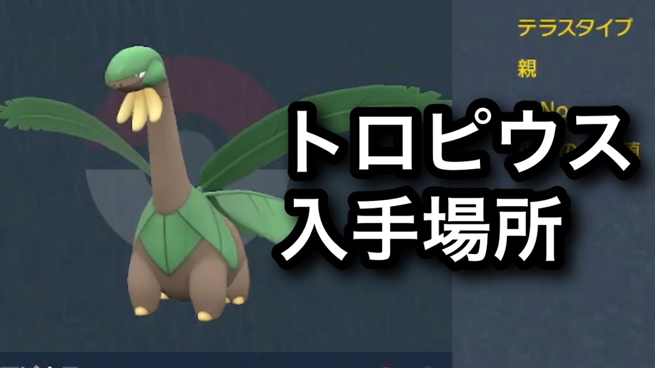 Sv 速報 トロピウス入手場所 Youtube Sv 速報 トロピウス入手場所 Youtube