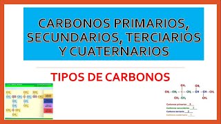 TIPOS DE CARBONOS (CARBONO PRIMARIO, SECUNDARIO, TERCIARIO Y CUATERNARIO)