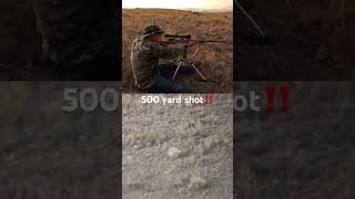 Target Practice 22-250 500