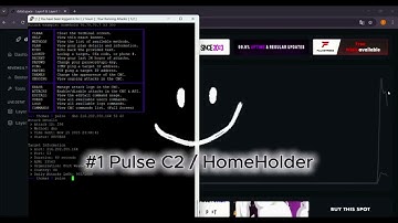 Pulse vs Dstat  BEST HomeHolder/C2/API CHEAP PLANS!