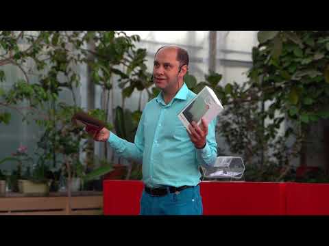 Мечта Рождает Смысл | Denis Kotov | TEDxMillionnayaStreet
