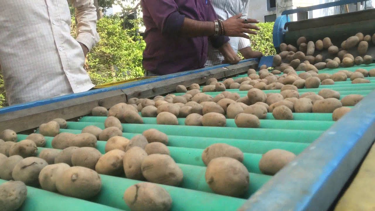 Khalsa Potato Grader ( Diesel engine ) इस मशीन से आलू छाटने घंटों का काम मिनटों में कर सकते हैं।